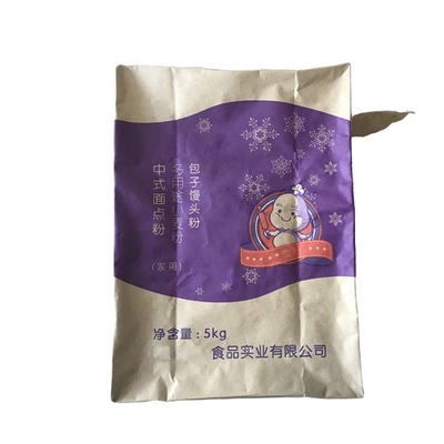 Edifício personalizado Válvula colada Bolsas de papel de parede múltipla com alça Aceitar Custom