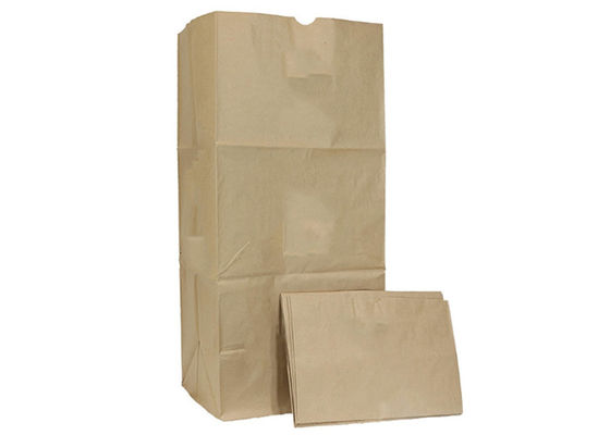 30 sacos de Gal Biodegradable Lawn And Leaf forram sacos do desperdício do jardim
